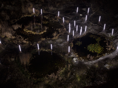 Ondrej Chmel Photography | Symbiont | Phototherapia