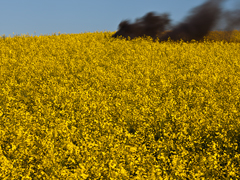 Ondrej Chmel Photography | Colourful Mist | Oil field with black smoke, May