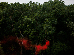 Ondrej Chmel Photography | Colourful Mist | Tree crowns, lifting platform, metal wires, pulley, strings and red smoke bombs, July