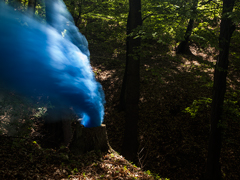 Ondrej Chmel Photography | Colourful Mist | Tree trunk with blue and white smoke bombs, May