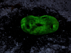 Ondrej Chmel Photography | Truth And The Other Myths | Potatoe  / Polystyren, glue, colour paint, fluorescent paint, dirt, hole, soil, snow