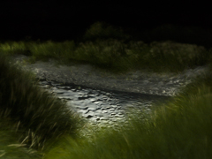 Ondrej Chmel Photography | Fiat Lumen | 3+3=7